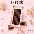 Ресницы LOTUS Brown mix, 20 линий, VILMY